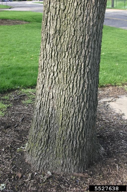 Photo 4 of 7