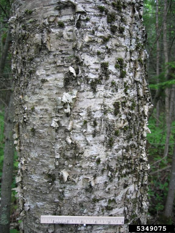 Photo 3 of 5