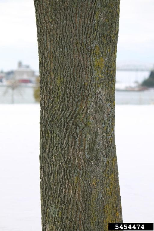 Photo 4 of 6