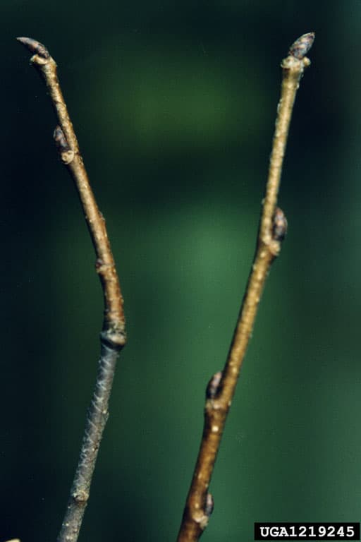 Photo 5 of 5